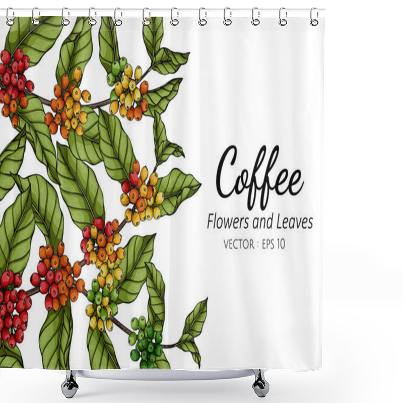 Personality  Coffee Flower And Leaf Drawing Illustration With Line Art On White Backgrounds. Shower Curtains