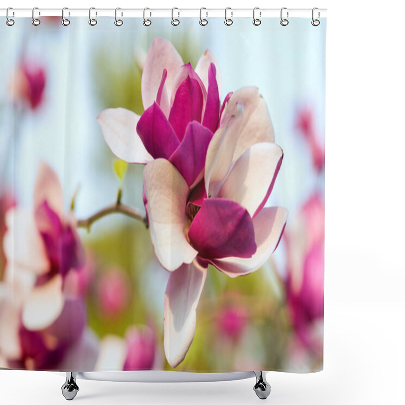 Personality  Blossoming Magnolia Flowers Shower Curtains