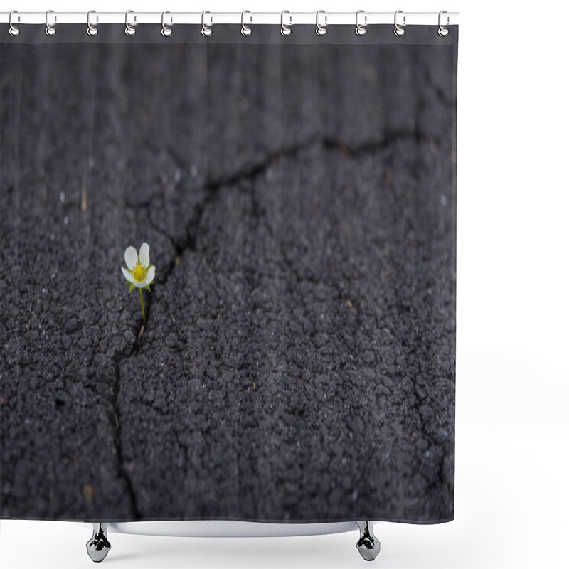 Personality  Beautifully Resilient Flower Growing Out Of Crack In Ground   Shower Curtains