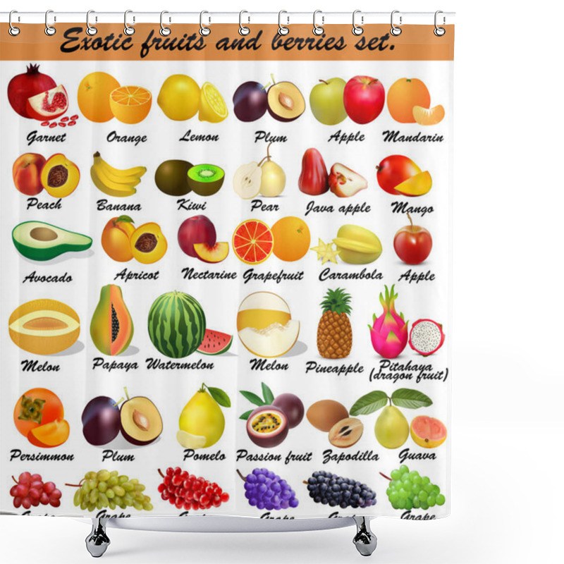 Personality  Illustration Set Of Exotic Fruits And Berries. Shower Curtains