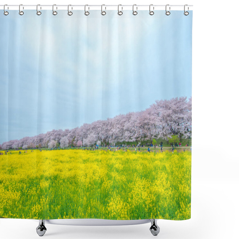 Personality  Japanese Cherry Blossoms SAKURA,Saitama(prefectures),tourism Of Japan Shower Curtains