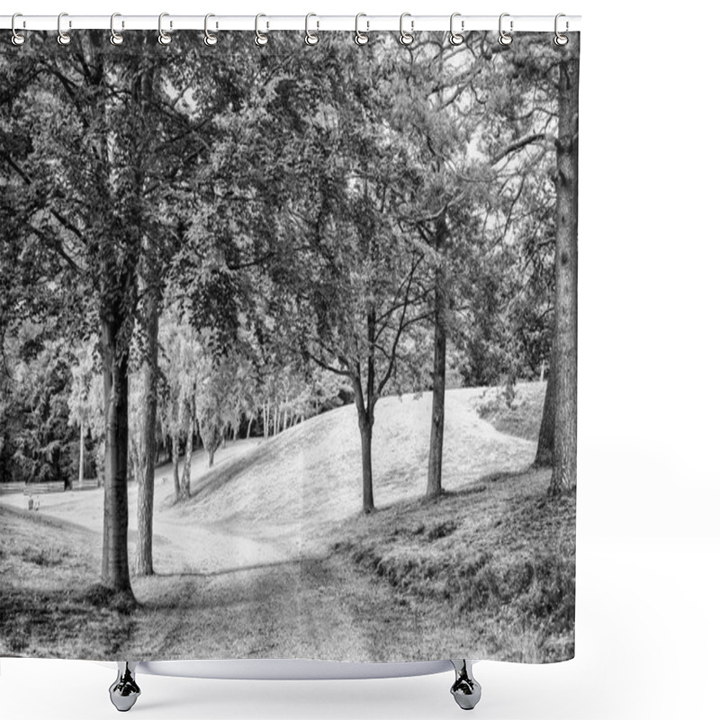 Personality  Nature, Environment And Ecology Concept. Footpath Among Green Trees, Ecology. Path In Spring Or Summer Forest, Nature. Road In Wood Landscape, Environment. Shower Curtains