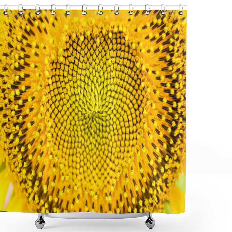 Personality  A Close-Up View Of The Vibrant Yellow Sunflower Showing Intricate Details Of The Seeds And Petals In Natural Light. Shower Curtains