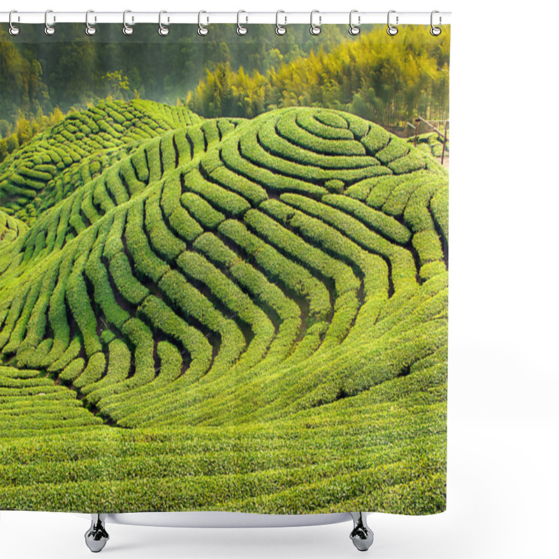 Personality  Ba Gua Tea Garden In Mid Of Taiwan Shower Curtains