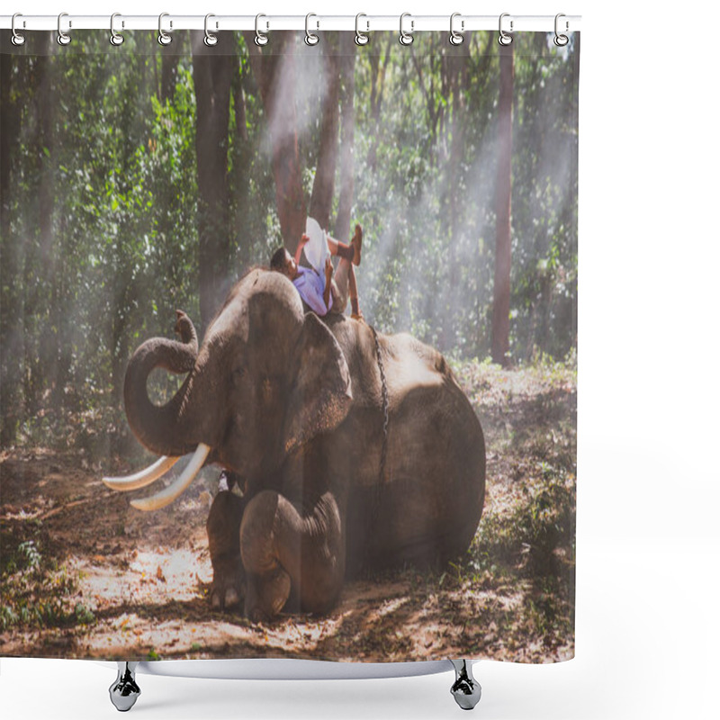 Personality  School Boy Playing In The Jungle With His Friend Elephant Shower Curtains