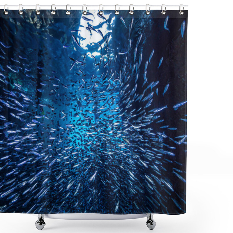 Personality  Shoal Of Small Tiny Fish In Underwater Cave Against Light Rays From Entrance Shower Curtains