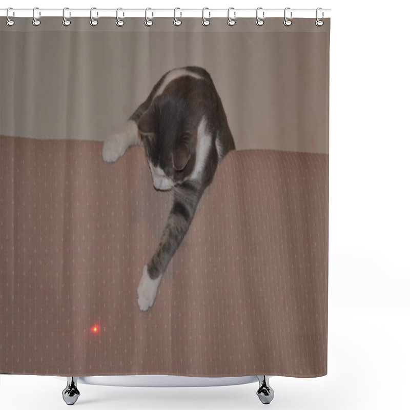 Personality  Portrait Of A Gray And White Playful Cat In The Apartment. Shower Curtains