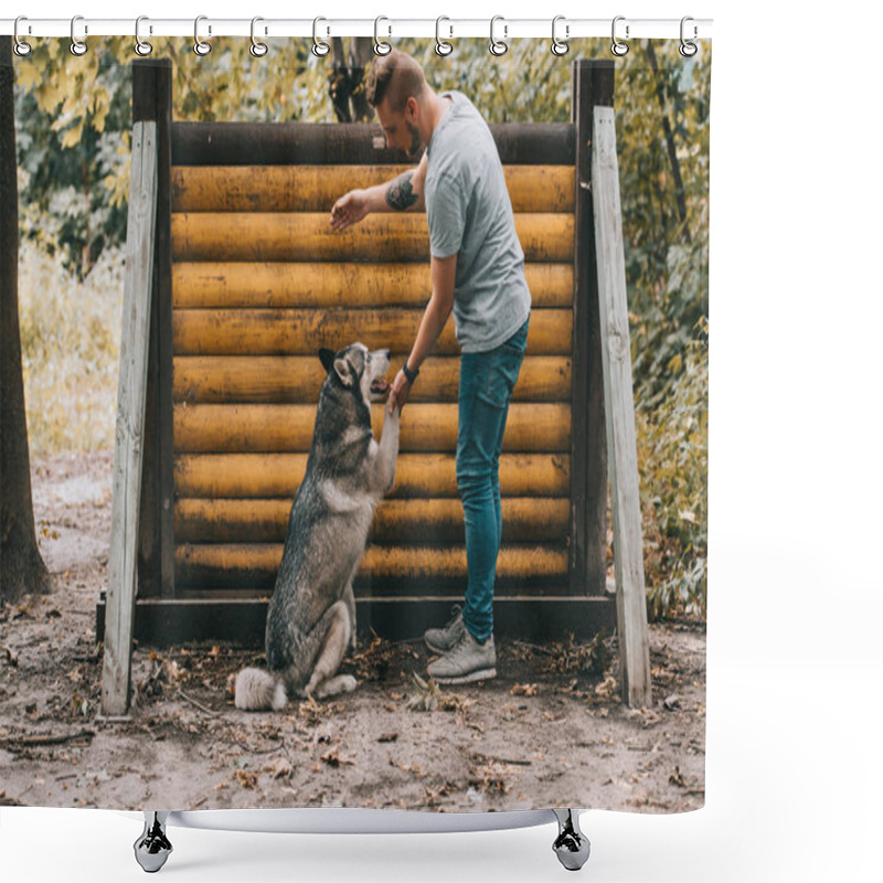 Personality  Cynologist Training With Siberian Husky Dog On Jumping Obstacle  Shower Curtains