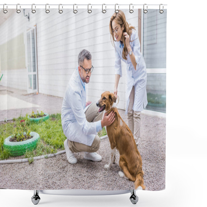 Personality  Two Vets Palming Dog On Yard At Veterinary Clinic Shower Curtains