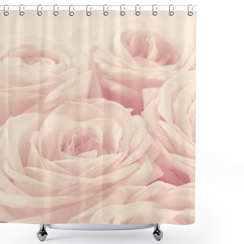 Personality   Beautiful White Roses Toned In Sepia As Wedding Background. Sof Shower Curtains