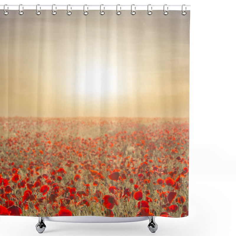 Personality  Early Morning Red Poppy Field Shower Curtains