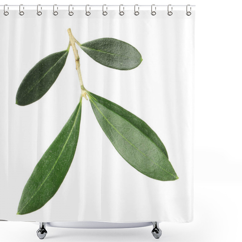 Personality  Fresh Green Olive Leaves On White Background Shower Curtains