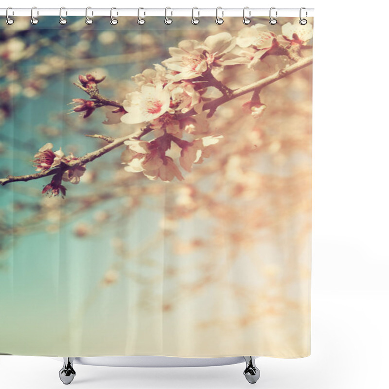 Personality  Abstract Dreamy And Blurred Image Of Spring White Cherry Blossoms Tree. Selective Focus. Vintage Filtered Shower Curtains