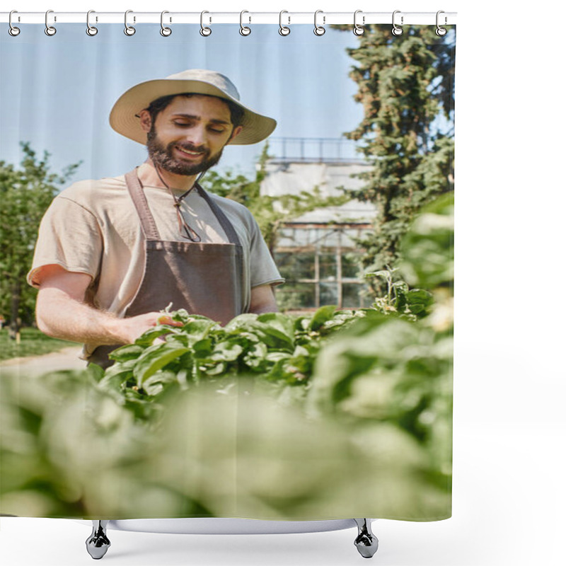 Personality  Bearded Gardener In Sun Hat And Linen Apron Examining Green Leaves Of Bush While Working Outdoors Shower Curtains