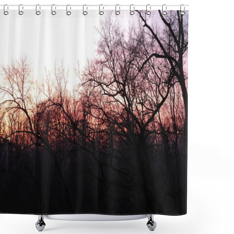 Personality  The Silhouette Of A Forest Scene With Intertwining Tree Branches During A Vivid Sunset. The Contrast Of The Dark Branches With The Vibrant Sky Adds Depth And An Artistic Touch To The Composition Shower Curtains