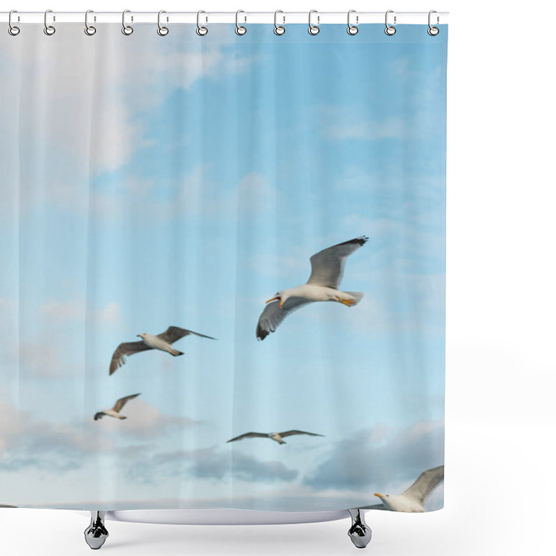 Personality  Low Angle View Of Wild Seagulls Flying Against Blue Sky With Clouds  Shower Curtains