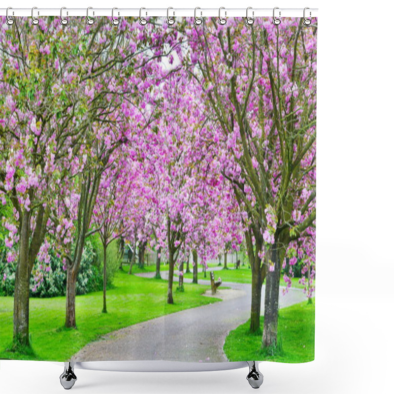 Personality  Cherry Blossom Pathway  Shower Curtains