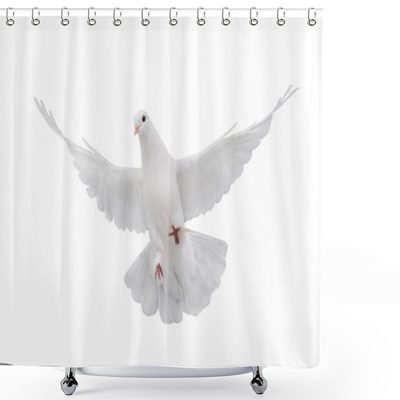 Personality  Free Flying White Dove Isolated On A White Background As Symbol Of Peace Shower Curtains