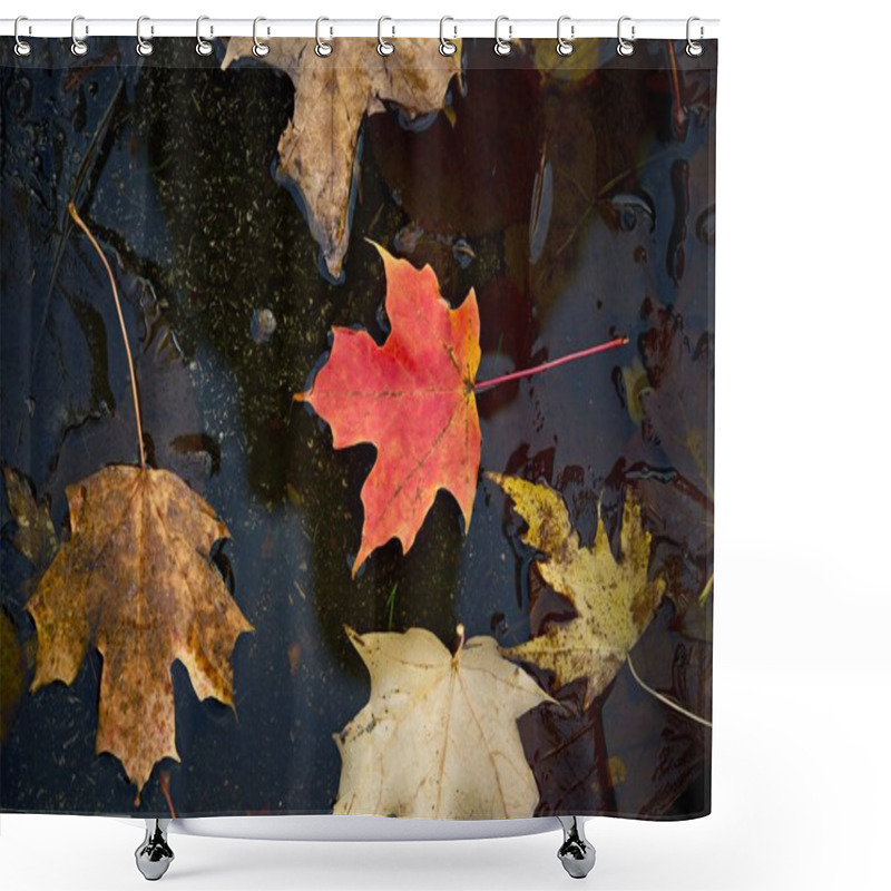 Personality  Maple Leaves In Water Shower Curtains