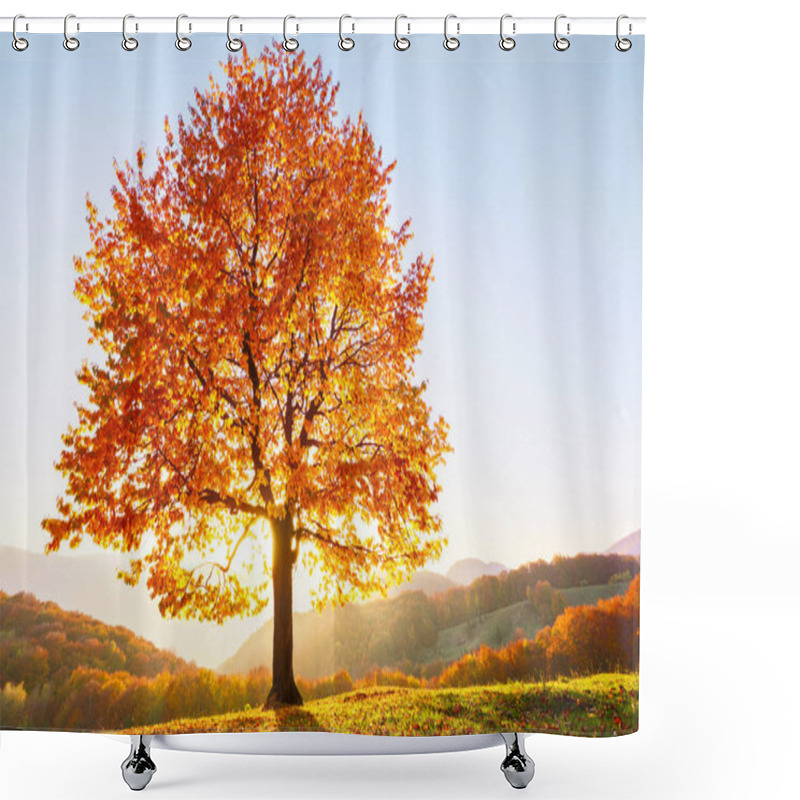 Personality  Autumn Rural Scenery With Mountains, Forests And Fields. There Is A Lonely Lush Tree On The Lawn Covered With Orange Leaves Through Which The Sun Rays Are Shining. Shower Curtains