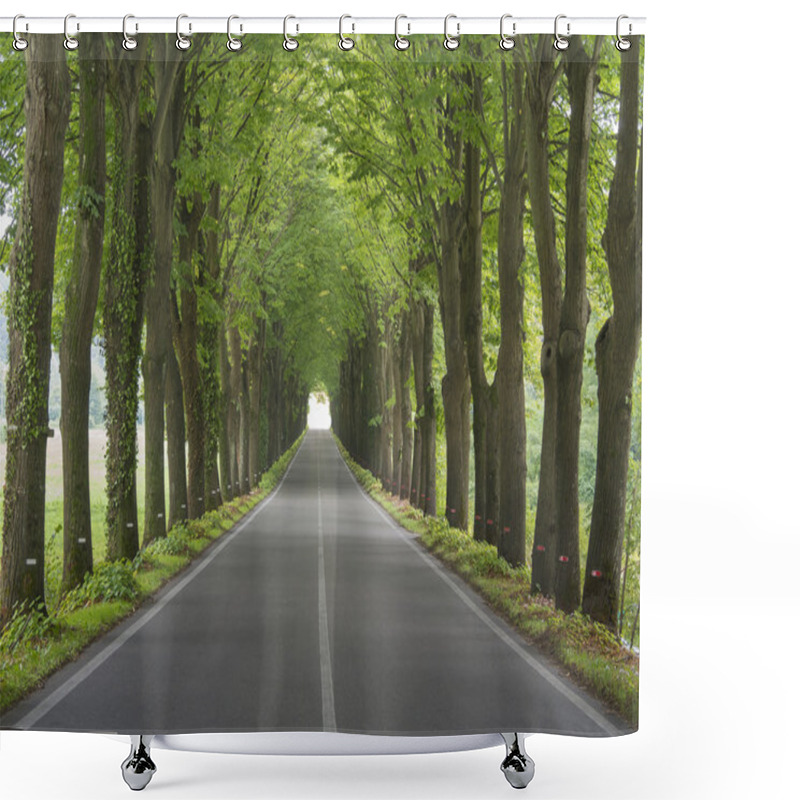 Personality  Tree Lined Country Road Shower Curtains