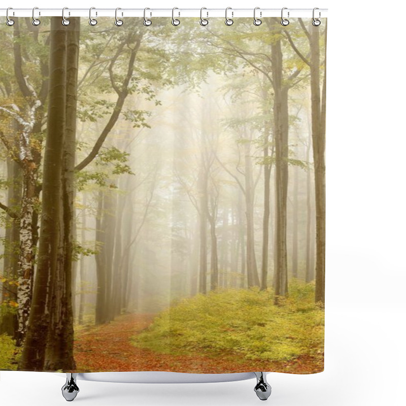 Personality  Way Through A Fairytale Forest Shower Curtains