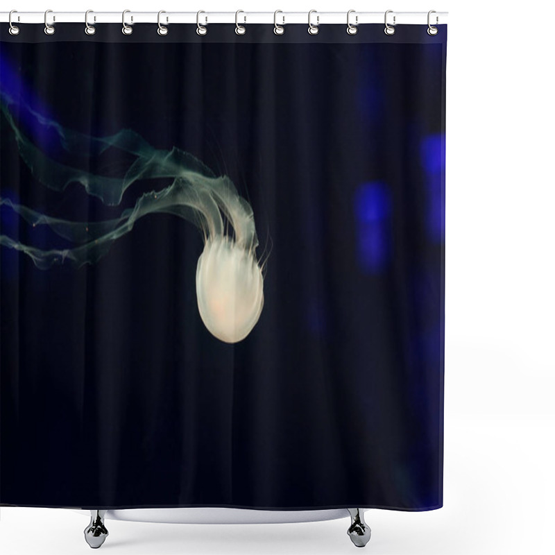 Personality  Beautiful Jellyfish, Medusa In The Neon Light With The Fishes. Underwater Life In Ocean Jellyfish. Exciting And Cosmic Sight Shower Curtains