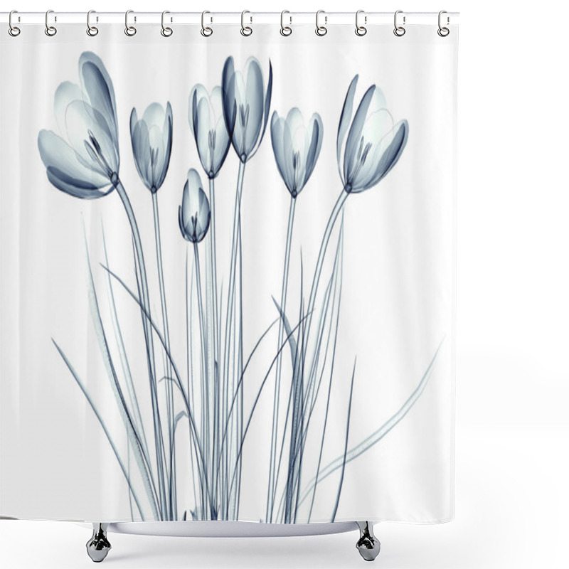 Personality  X-ray Image Of A Flower Isolated On White , The Crocus Shower Curtains