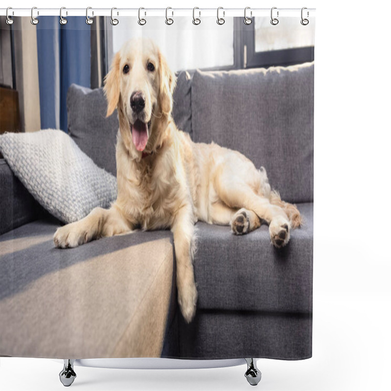 Personality  Golden Retriever Dog  Shower Curtains