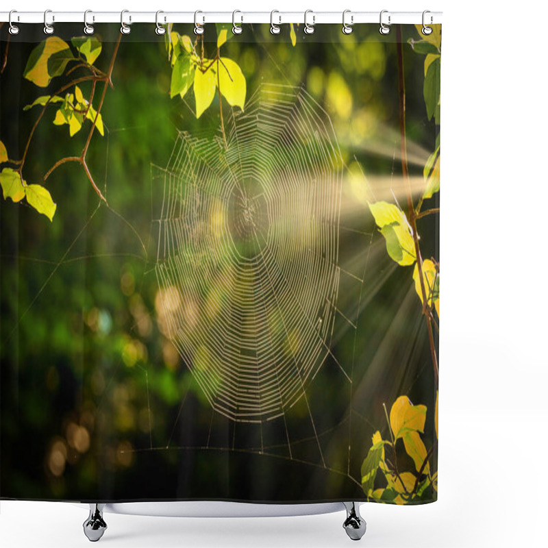 Personality  Spiderweb At Sunrise Light In The Forest Shower Curtains