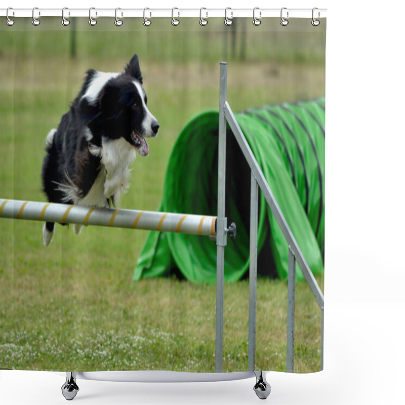 Personality  Border Collie Agility Dog Shower Curtains