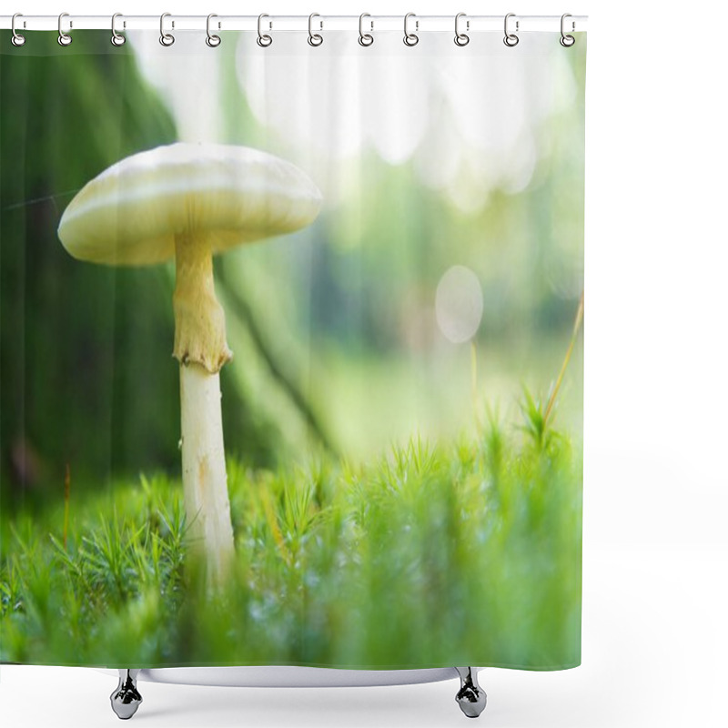 Personality  Amanita Phalloides Mushroom Shower Curtains