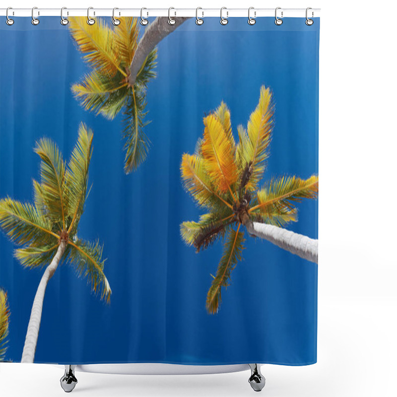 Personality  Green Palm Tree Leaves On Blue Sky Background           Shower Curtains