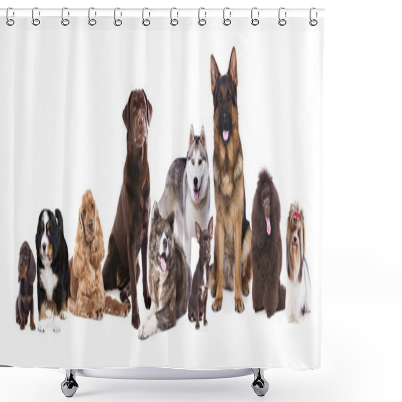 Personality  Group Of Dogs On A White Background Shower Curtains