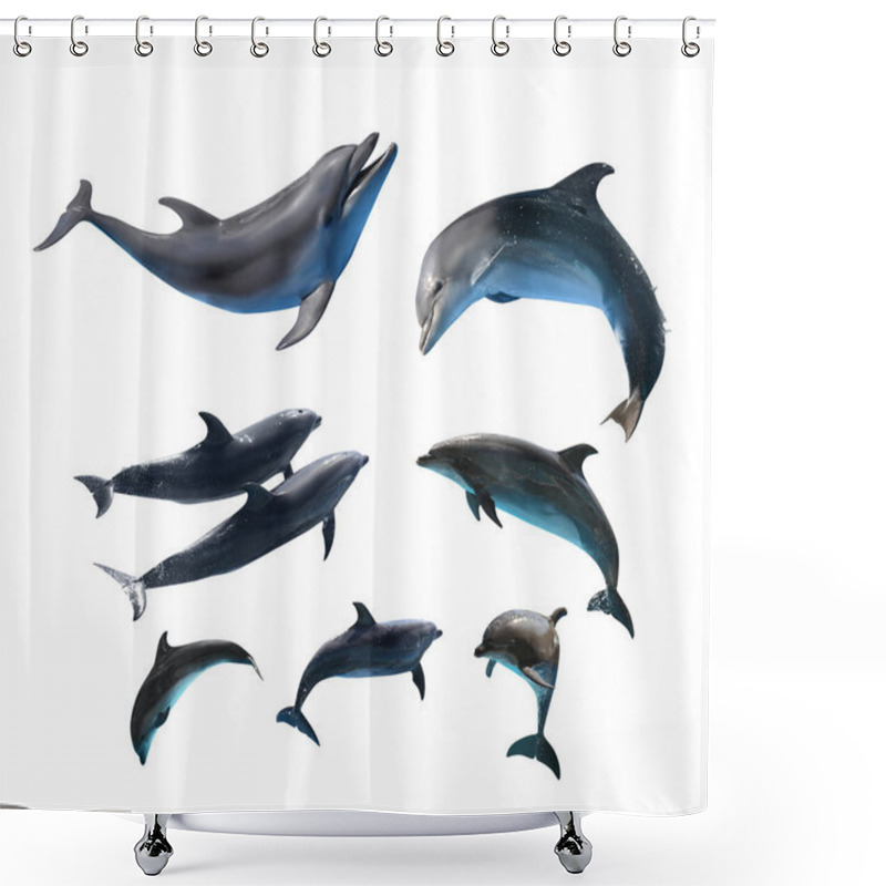 Personality  Beautiful Grey Bottlenose Dolphins On White Background, Collage Shower Curtains