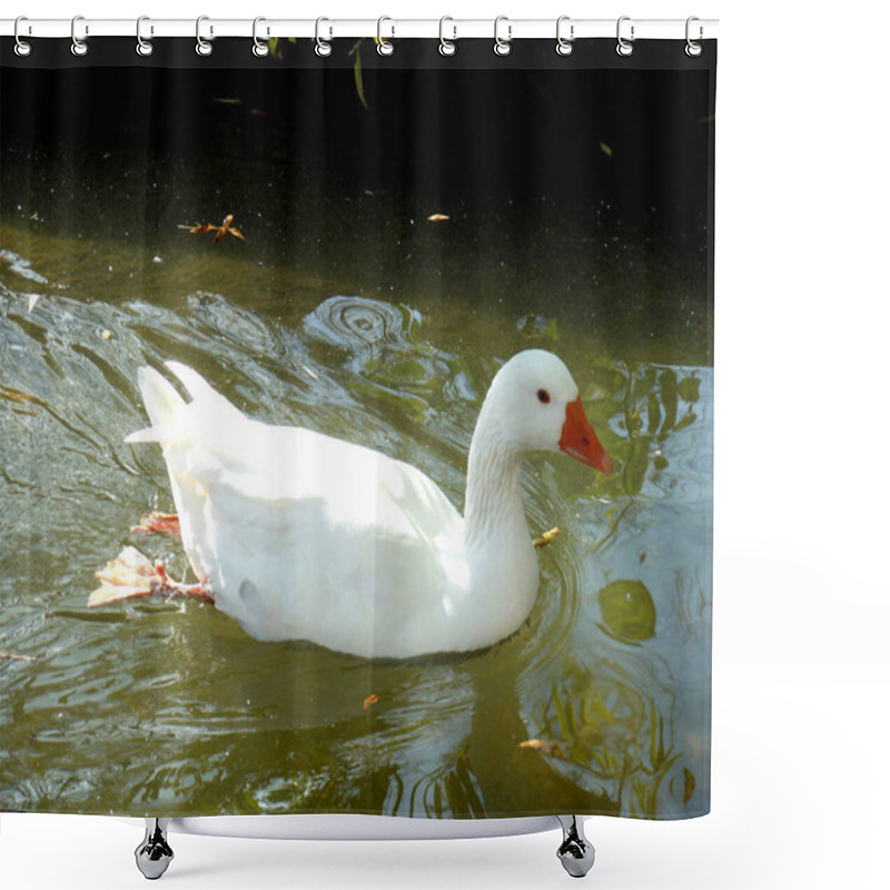 Personality  White Duck Swimming Calmly In The Pond Shower Curtains