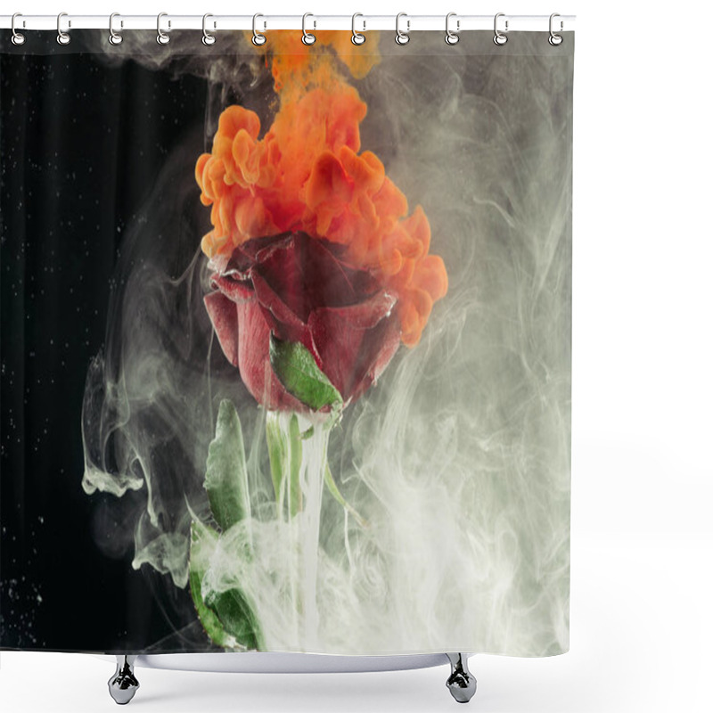 Personality  Close-up View Of Beautiful Red Rose Flower And White And Orange Ink On Black Shower Curtains