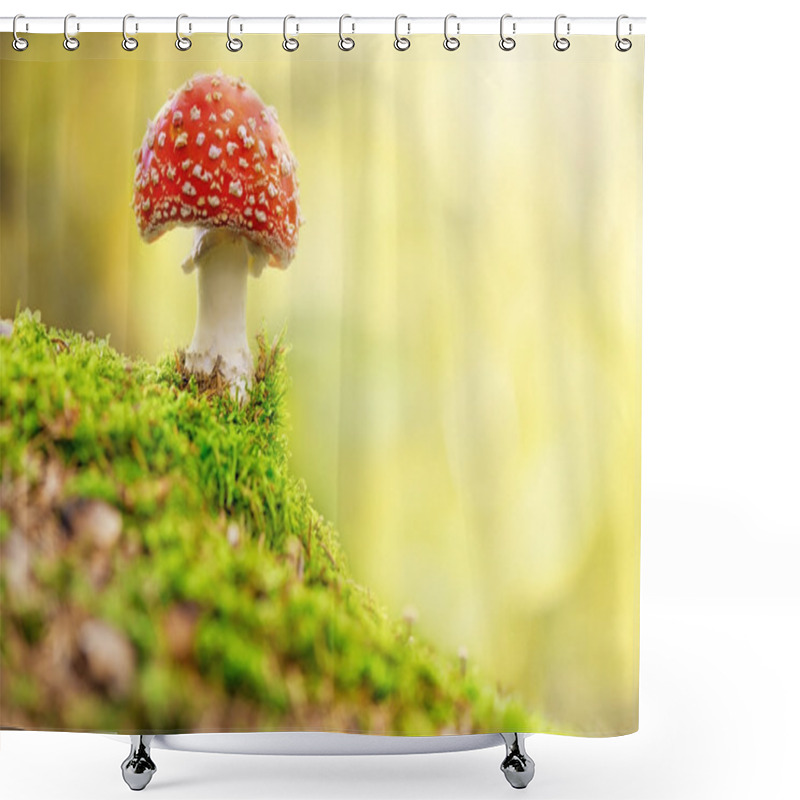 Personality  Mushroom, Fly Agaric In Forest Shower Curtains