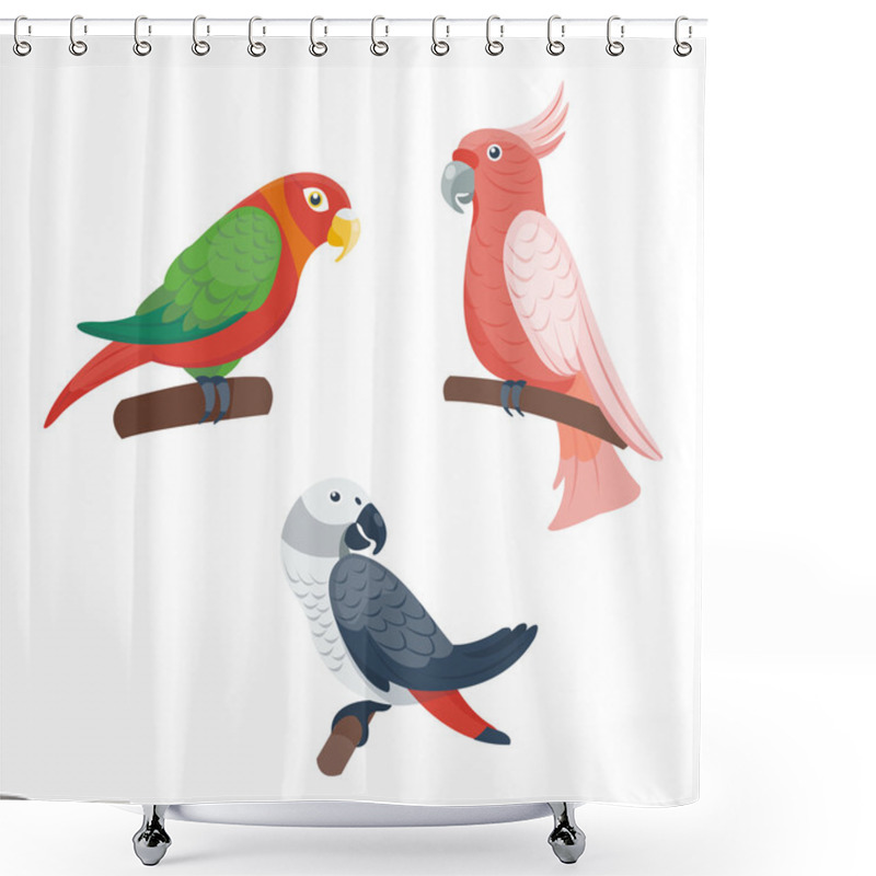 Personality  Cartoon Parrots Set Vector Shower Curtains