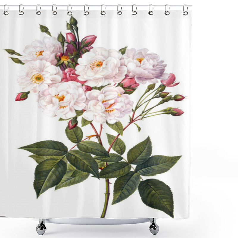 Personality  Flower Illustration Shower Curtains