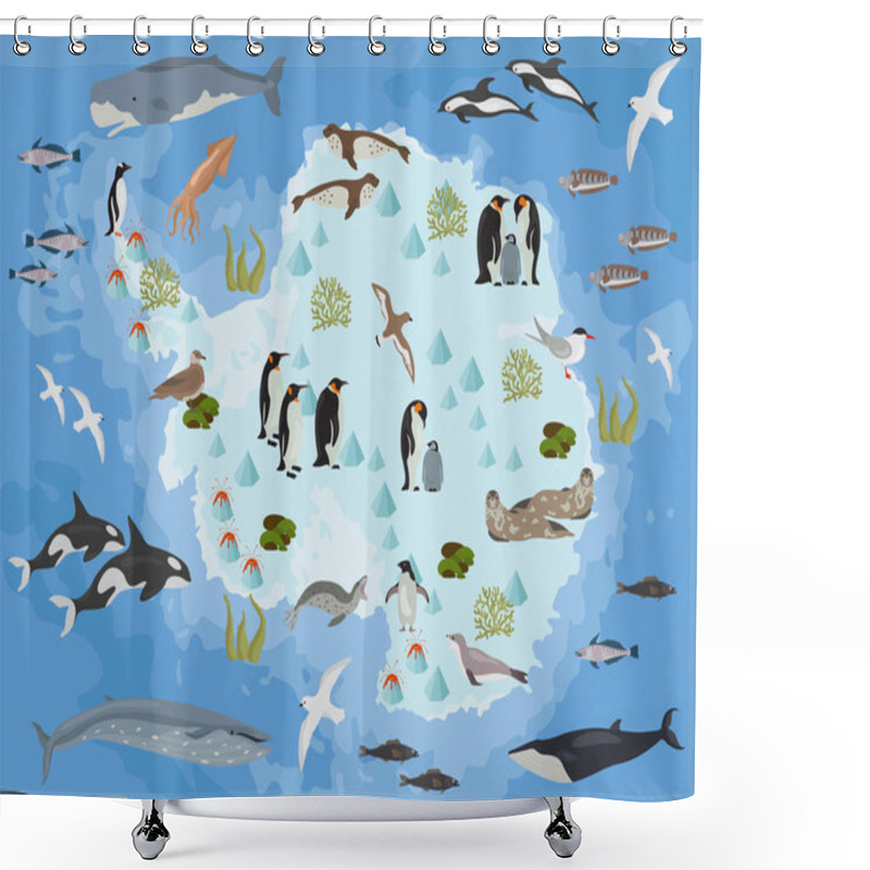 Personality  Antarctic, Antarctica,  Flora And Fauna Map, Flat Elements. Anim Shower Curtains