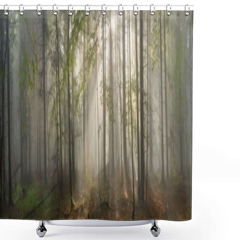 Personality  Carpathian Forest Trees Shower Curtains