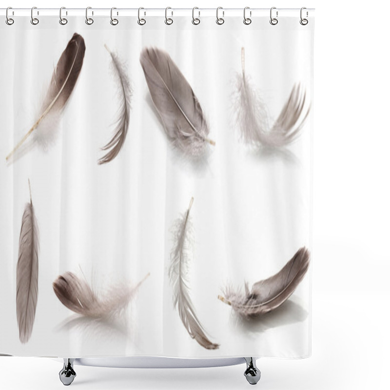 Personality  Collage Of Fluffy Feathers Isolated On White Shower Curtains