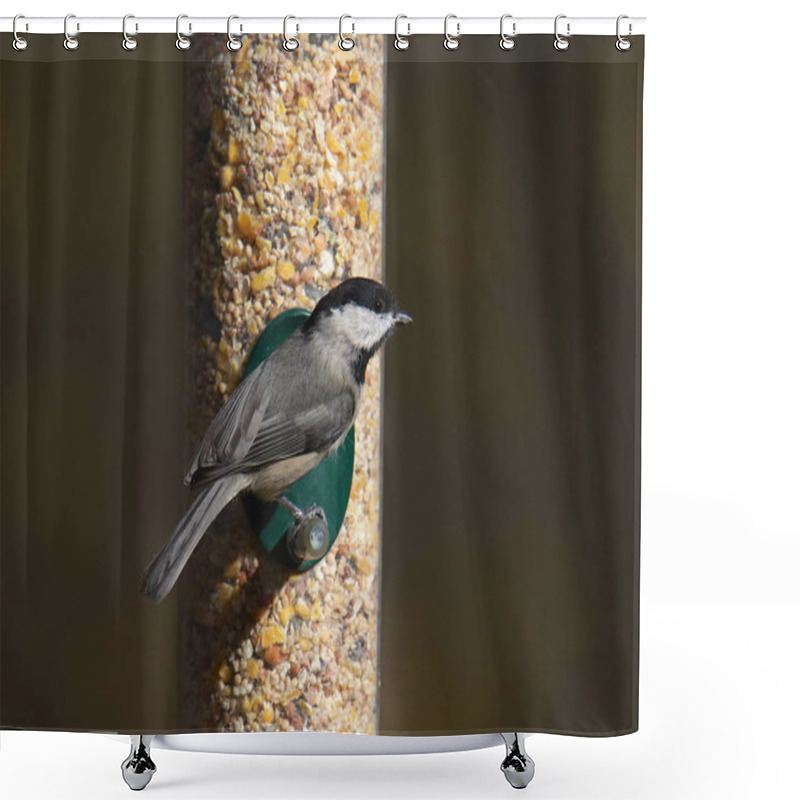 Personality  Carolina Chickadee (poecile Carolinensis) Eating From A Seed Feeder Shower Curtains