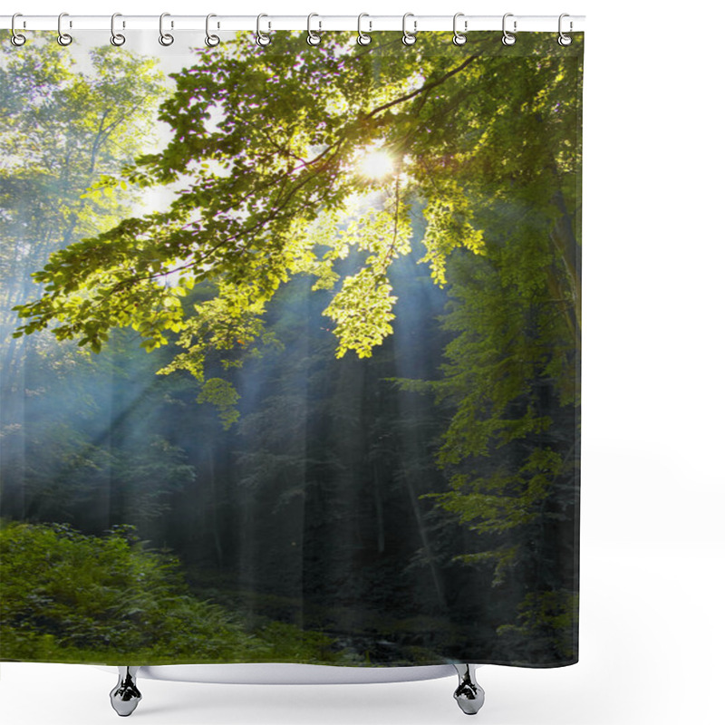 Personality  Morning Sunshine In A Forest Shower Curtains