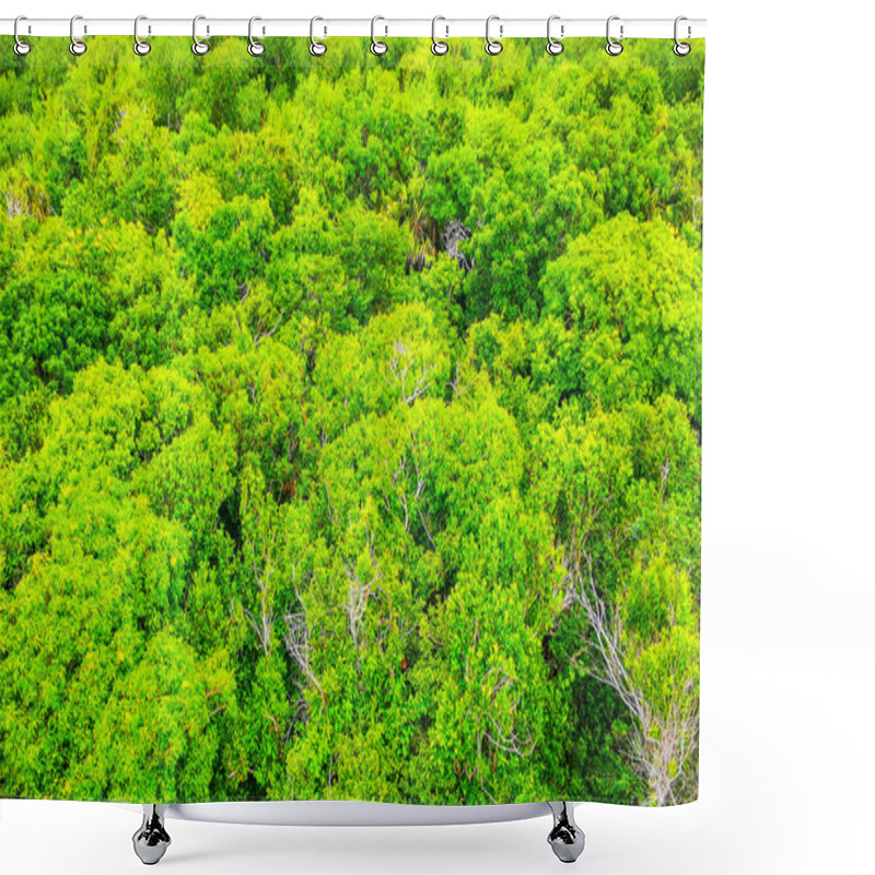 Personality  Green Tropical Jungle And Nature Palm Trees Palms Of Tulum Quintana Roo Mexico. Shower Curtains