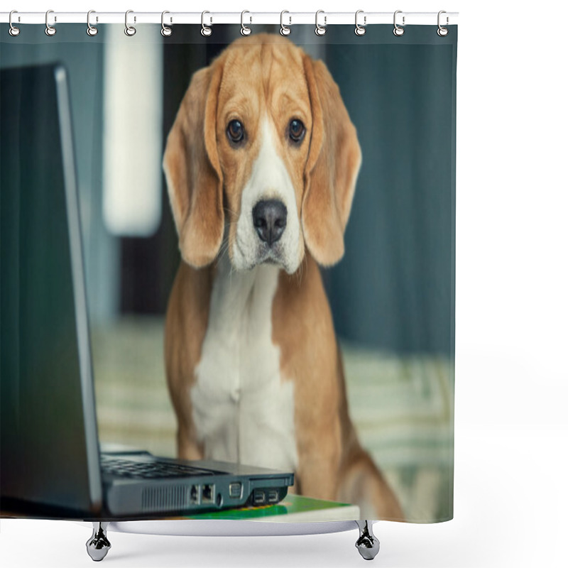 Personality  Beagle Dog In With Laptop Shower Curtains