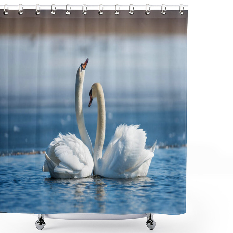 Personality  Romantic Two Swans, Symbol Of Love Shower Curtains