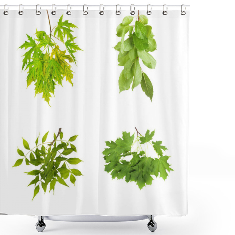 Personality  Branch With Green Leaves Isolated On White Background  Shower Curtains