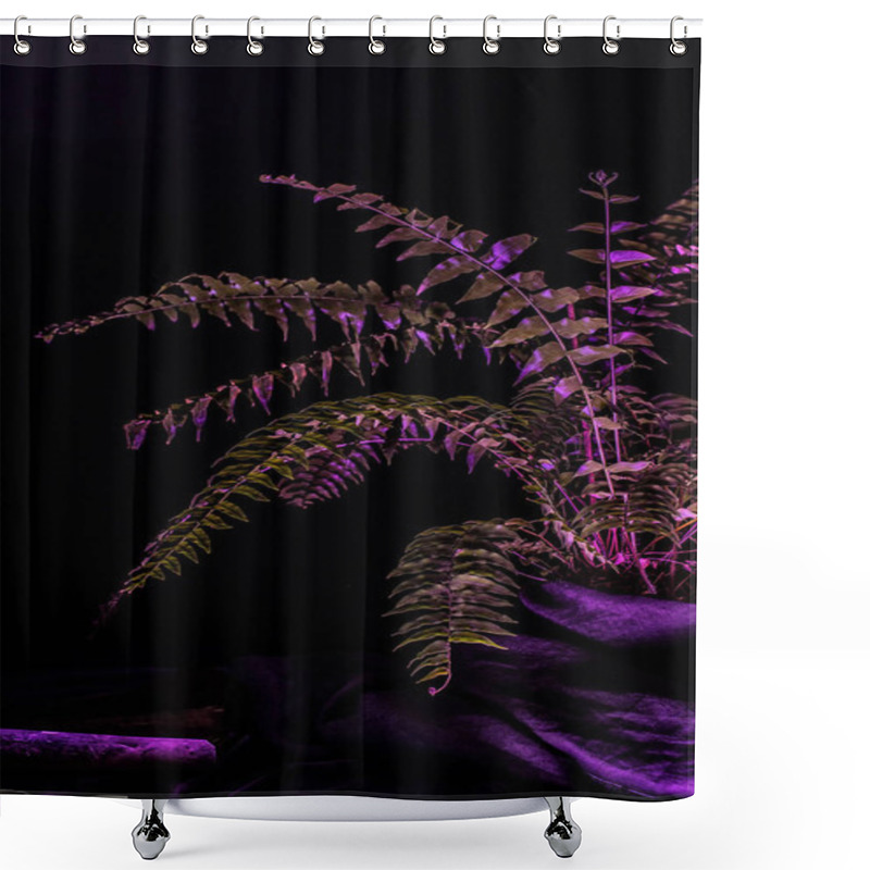 Personality  Toned Image Of Fern Plant, On Black Background Shower Curtains